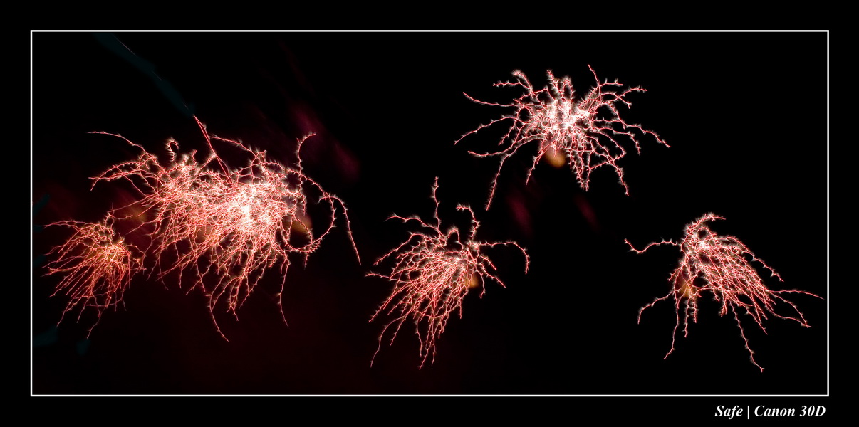 2006 - 06 - Feux de chantilly 276